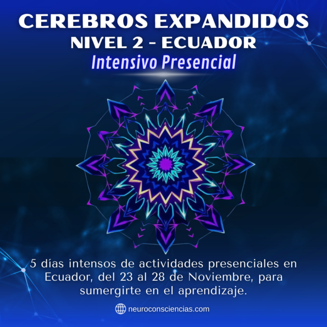 Cerebros E. Nivel 2 Ecuador